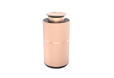 Rose Small Scent Diffuser