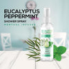 Eucalyptus Peppermint Spray